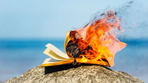 Empresas de IA compram e destroem livros em massa para evitar repercussões negativas
