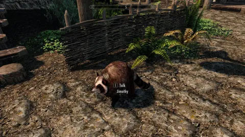 Jimothy, o guaxinim, chega a Skyrim e Stardew Valley