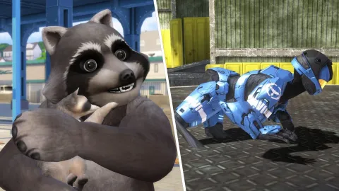 Jimothy, o guaxinim redondo que conquistou a internet, agora também está nos games