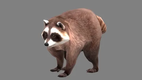 Jimothy, o guaxinim, será um novo animal de estimação em Guild Wars 2