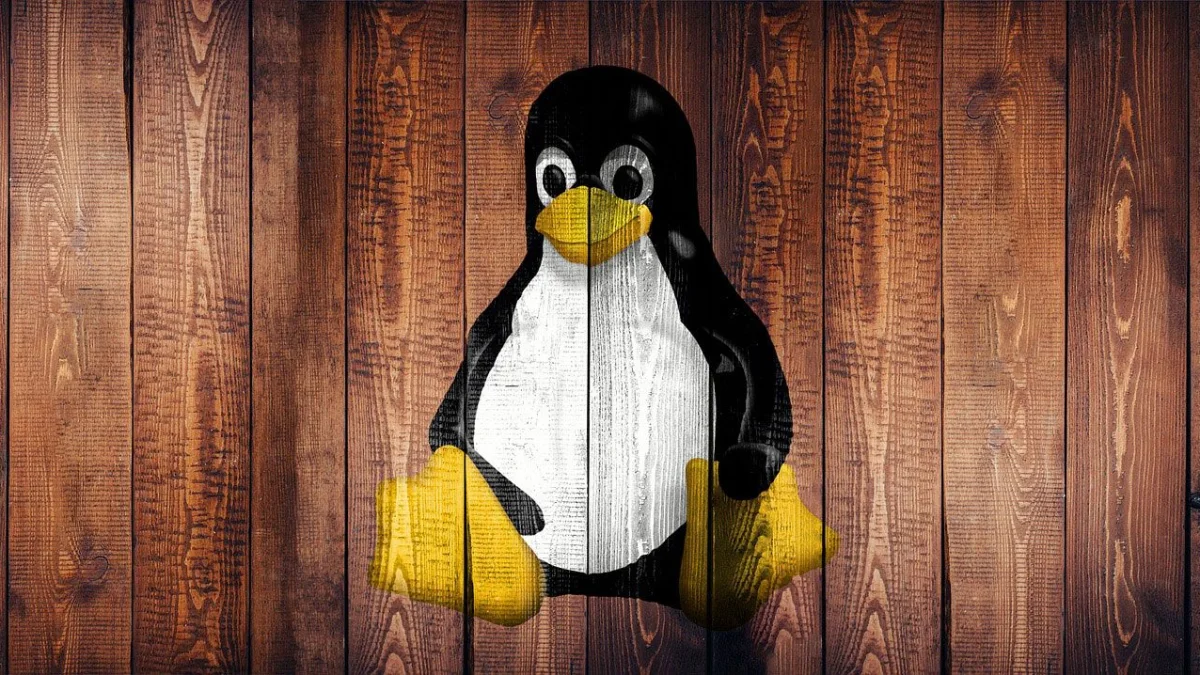 Linux Escapa da Crise de Verificação de Idade, Mas SteamOS Ainda Está em Dúvida