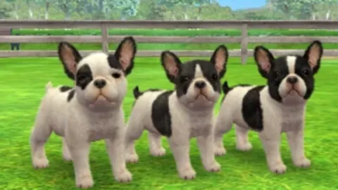 Nintendogs + Cats: French Bulldog & New Friends é um passatempo divertido, mesmo após 15 anos