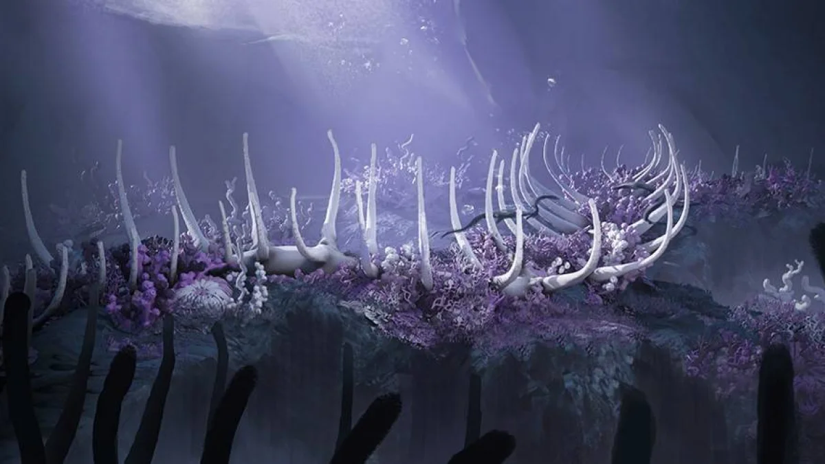 Novidades sobre os lançamentos de Magic: The Gathering em 2027