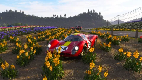 Onde encontrar Shikisai-no-Oka em Forza Horizon 6