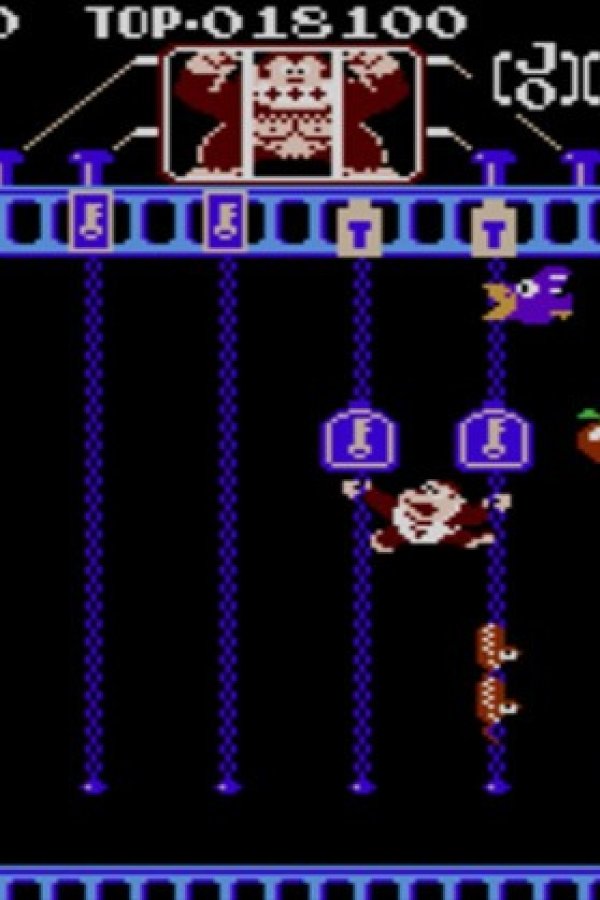 Capa de Donkey Kong Jr.
