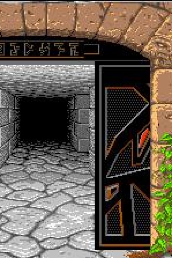 Capa de Dungeon Master