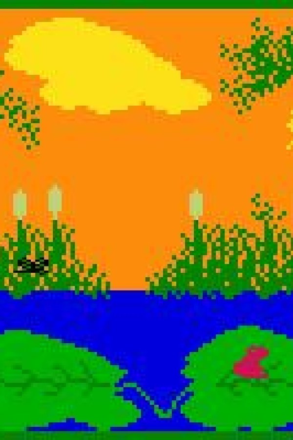 Capa de Frogs and Flies