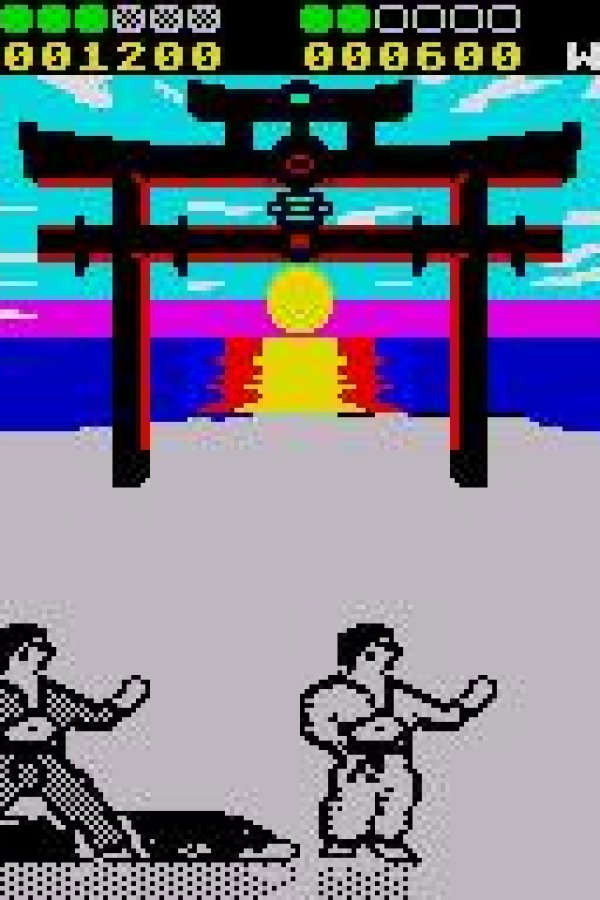 Capa de International Karate +