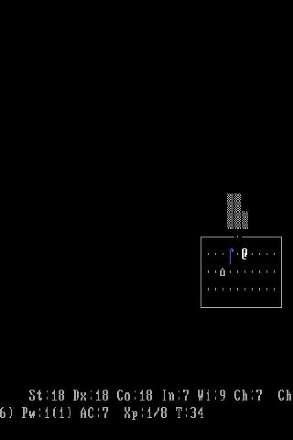 Capa de NetHack