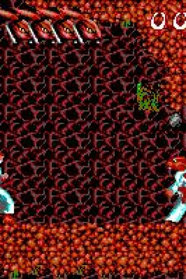 Capa de Ninja Rabbits