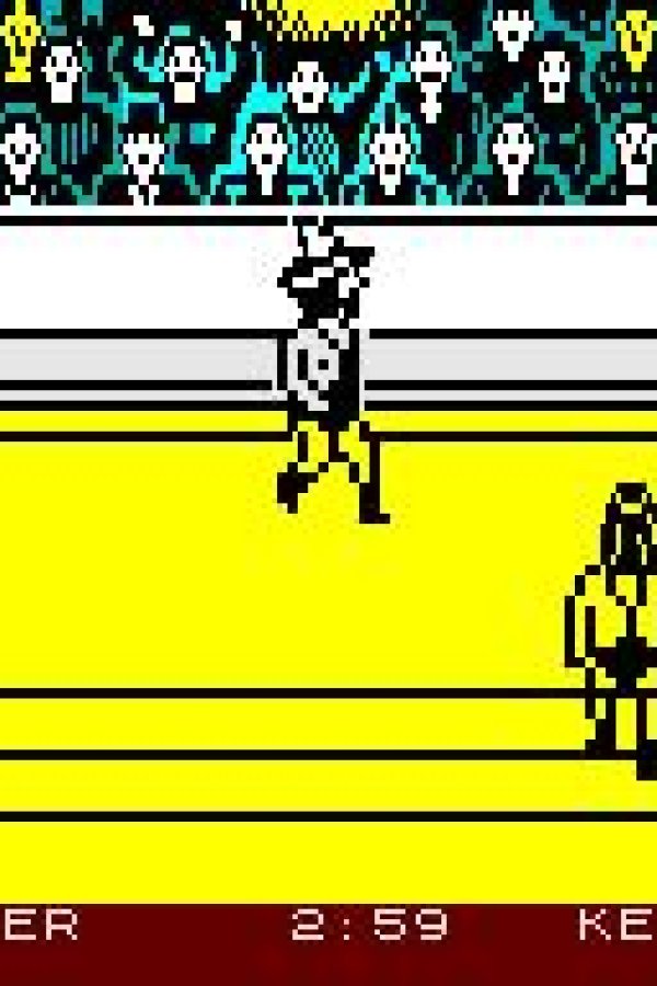 Capa de Rock'n Wrestle